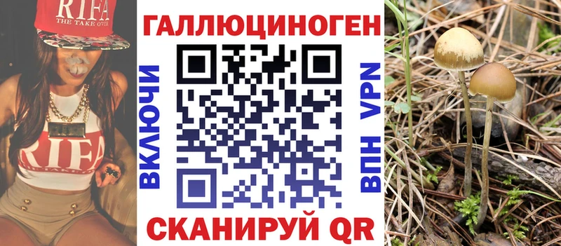 Галлюциногенные грибы Cubensis ссылка на мегу вход Хилок